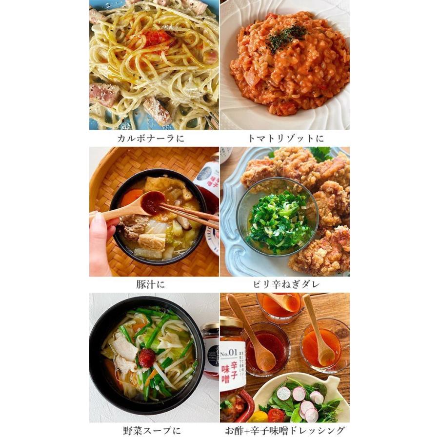 徳庵 辛子味噌 500g 2個 詰め替え 唐辛子味噌 一味唐辛子 ご飯のお供 調味料 辛い 送料無料 02 ワタスイ徳庵shop 通販 Yahoo ショッピング