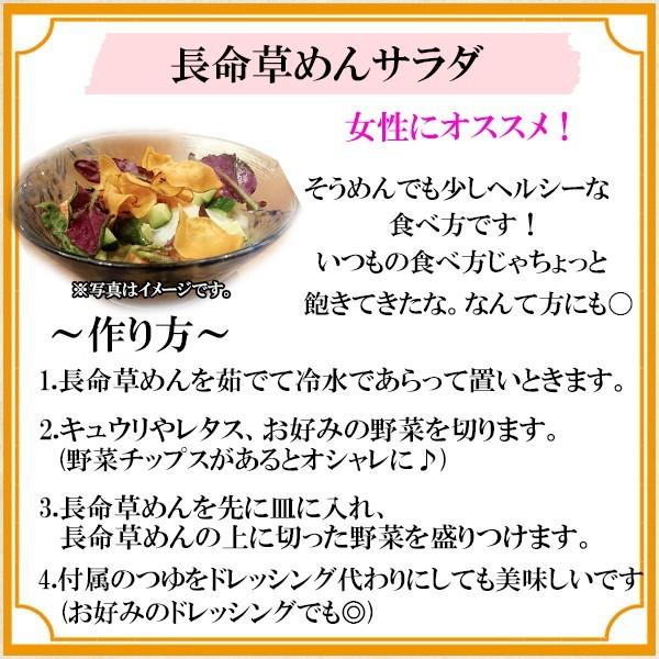 そうめん 長命草麺 2パック 4食入り 長命草 ボタンボウフウ 送料無料 勇田薬草園 即席手延べ麺 つゆ付 ソーメン 徳之島産 化学調味料 無添加 冷麺 温麺 61 長命草と日本山人参 ゆうだ薬草園 通販 Yahoo ショッピング