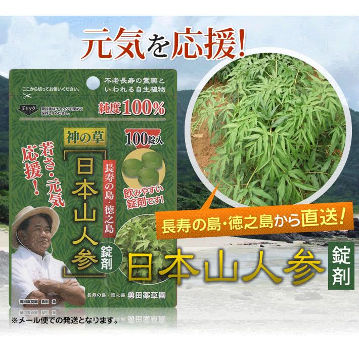 日本山人参 錠剤 サプリ 1袋 100錠入り ヒュウガトウキ 健康 送料無料