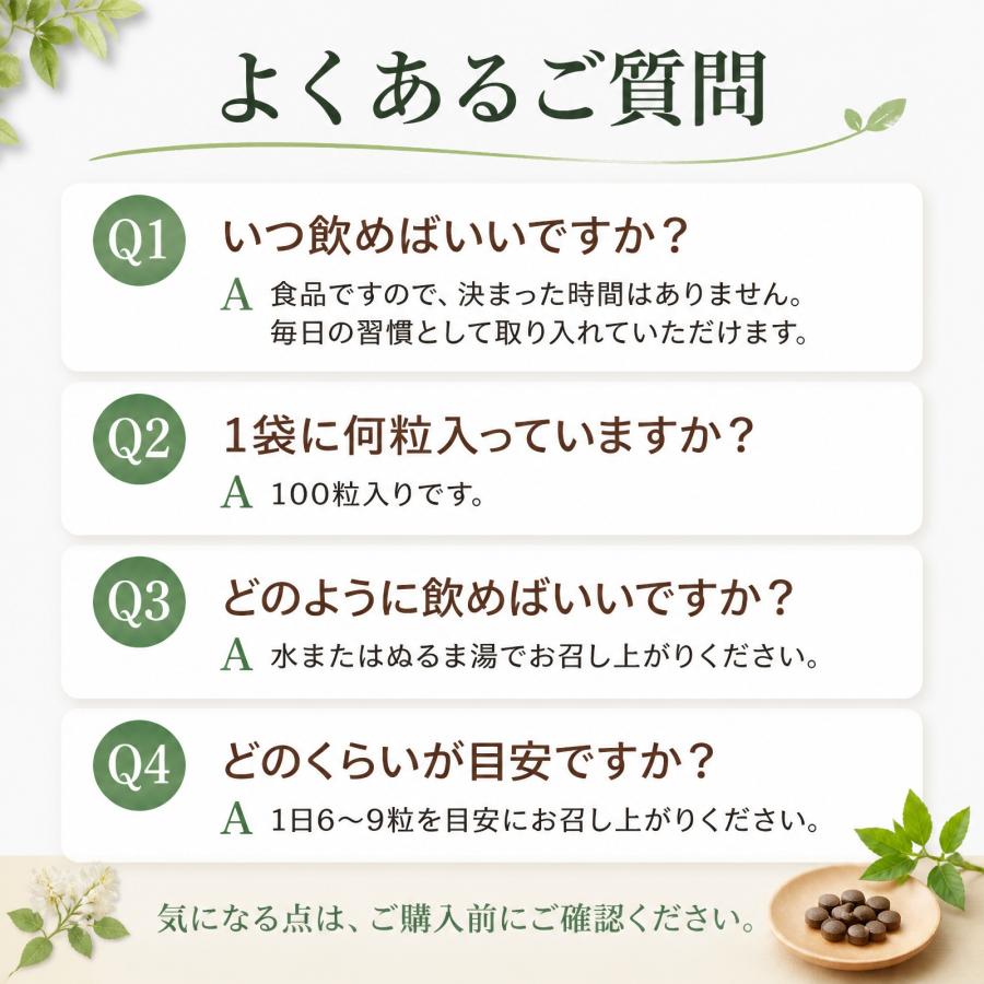 日本山人参 錠剤 サプリ 1袋 100錠入り ヒュウガトウキ 健康 送料無料