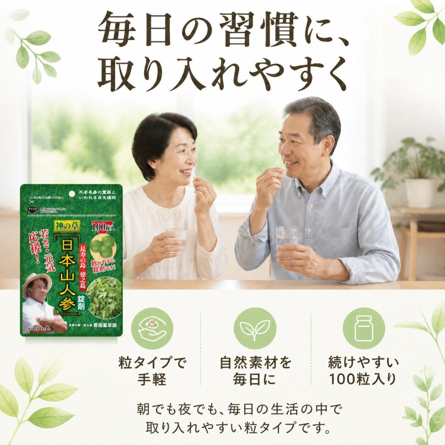 日本山人参 錠剤 サプリ 1袋 100錠入り ヒュウガトウキ 健康 送料無料