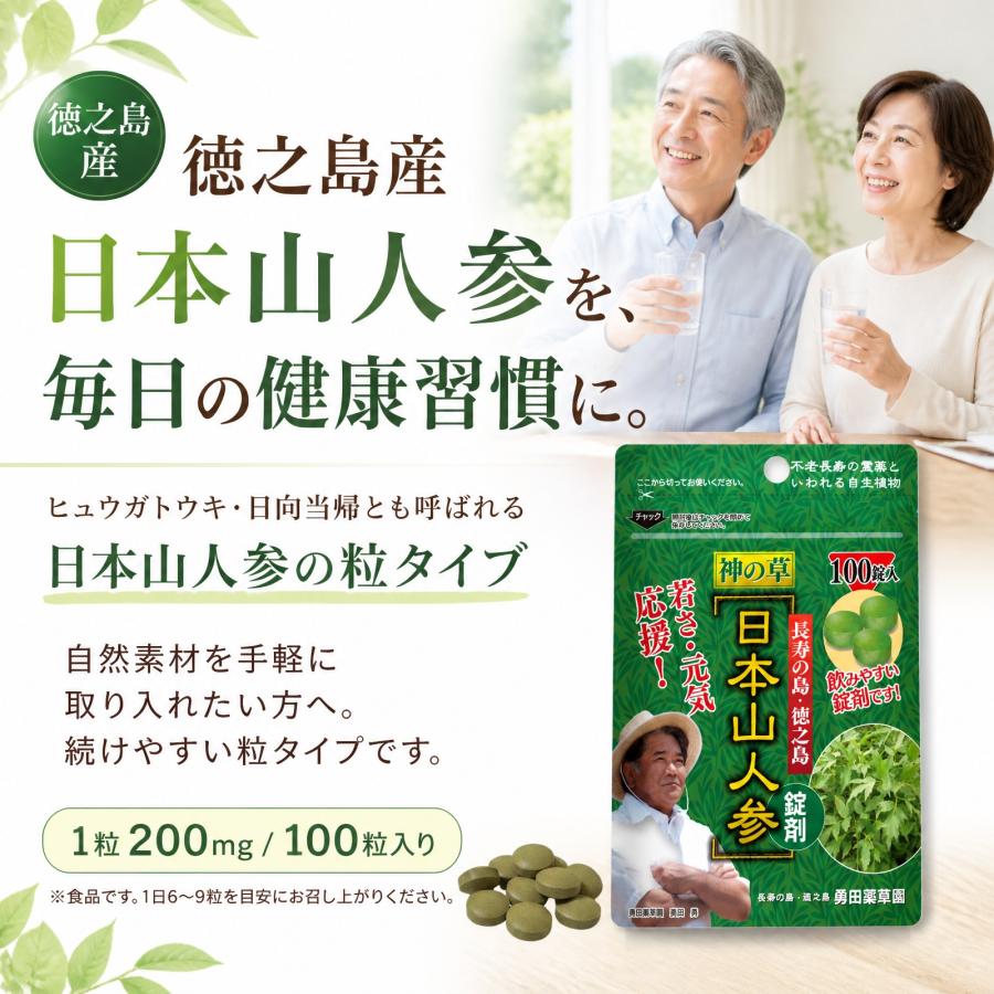 関東の虎さま専用・日向トウキ(日本山人参)① 日本山人参 錠剤 サプリ 1袋 100錠入り ヒュウガトウキ 健康 送料無料