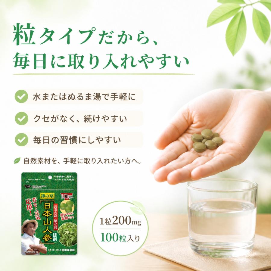 日本山人参 錠剤 サプリ 1袋 100錠入り ヒュウガトウキ 健康 送料無料