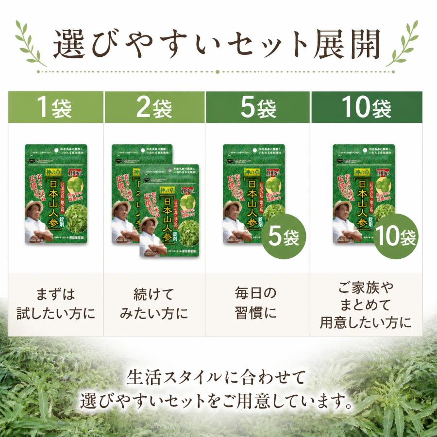 日本山人参 錠剤 サプリ 1袋 100錠入り ヒュウガトウキ 健康 送料無料