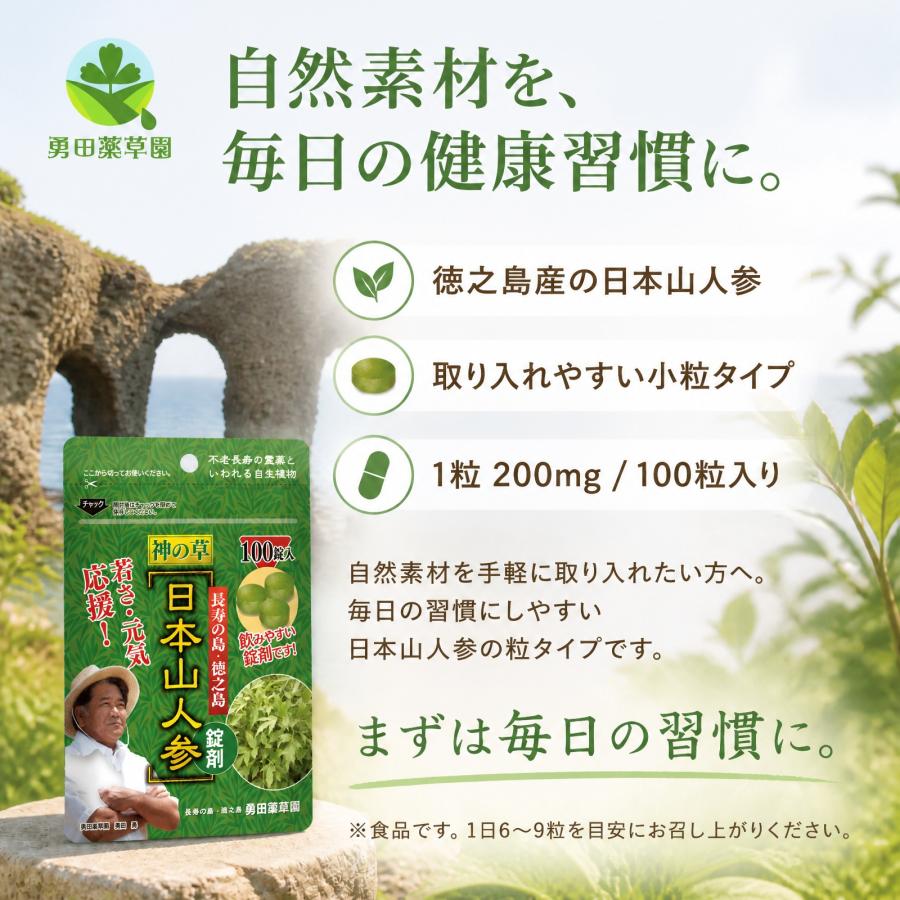日本山人参 錠剤 5袋セット サプリ 1袋 100錠入り ヒュウガトウキ 健康