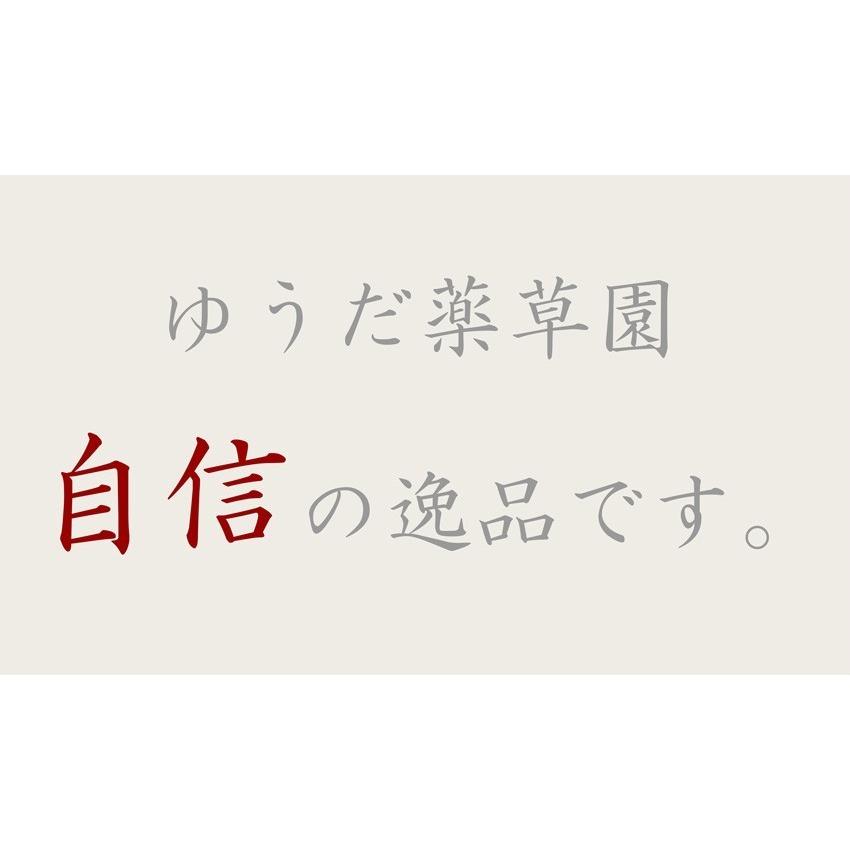 人気の商品 日本山人参 錠剤 5袋セット サプリ 1袋 100錠入り ヒュウガトウキ 健康 送料無料 勇田薬草園 日向当帰 効能 ダイエット 人気 効果 サプリメント お試し