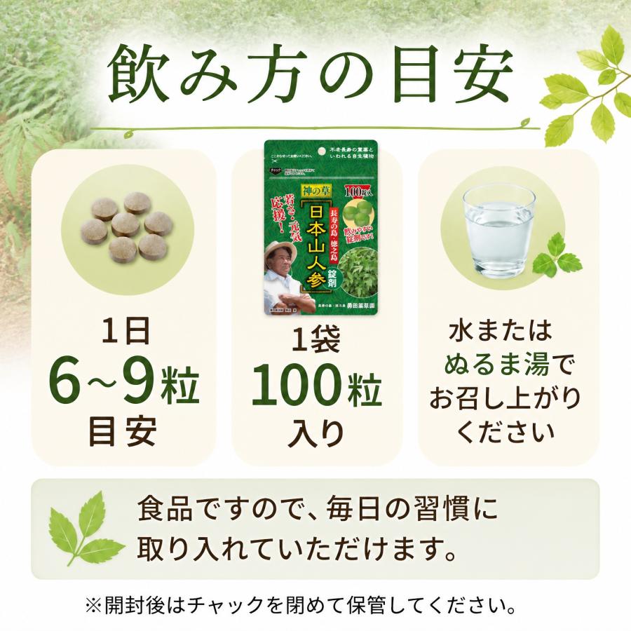 日本山人参 錠剤 5袋セット サプリ 1袋 100錠入り ヒュウガトウキ 健康