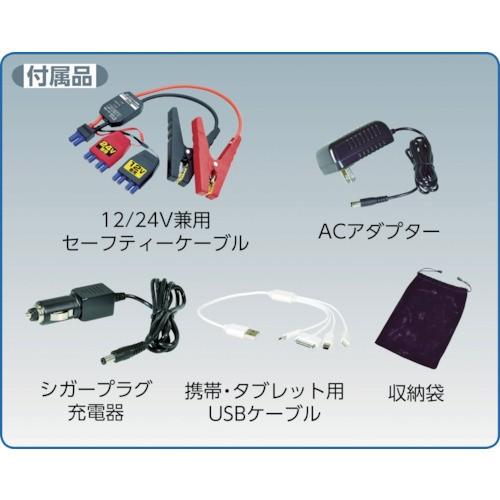 日動 NICHIDO エンジンスターター ビッグバンF1 収納ケース付 AS