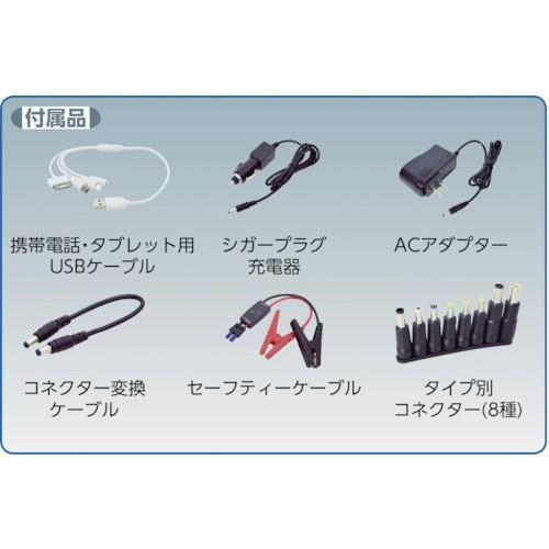 NICHIDO エンジンスターター 日動 NICHIDO エンジンスターター ビッグバンR 12V専用 AS-12JS-18AH