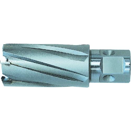 日東工器ジェットブローチワンタッチ　電動工具 日東工器 ジェットブローチ ワンタッチタイプ 25X35L NO.16325