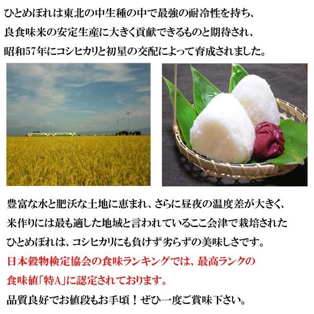 ひとめぼれ 米 20kg 福島県 会津産 令和7年産 白米 精米 お届け日指定