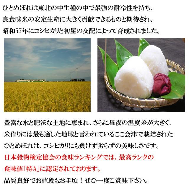 ひとめぼれ 米 20kg 会津産 (5kg×4) 令和7年産 白米 精米 : 会津の米蔵