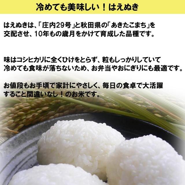はえぬき 精米 25kg(5kg×5)会津産 令和3年産 お米 ※九州は送料別途500円・沖縄は別途2500円 :ha-25:会津の米蔵とくいち - 通販 - Yahoo!ショッピング はえぬき 精米 25kg(5kg×5)会津産 令和3年産 お米 ※九州は送料別途500円・沖縄は別途2500円 :ha-25:会津の米蔵とくいち - 通販 - Yahoo!ショッピング