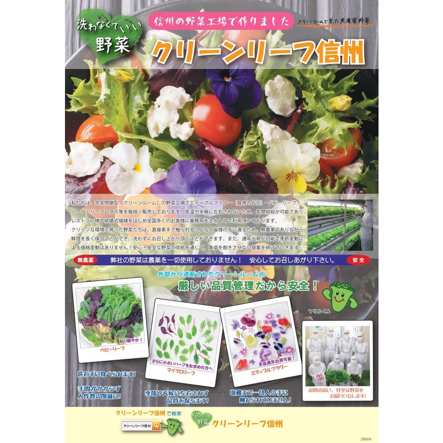 ③20　野菜詰め合わせ農薬不使用サラダセット ハッピーサラダセット【洗わなくていい野菜】信州産農薬不使用80