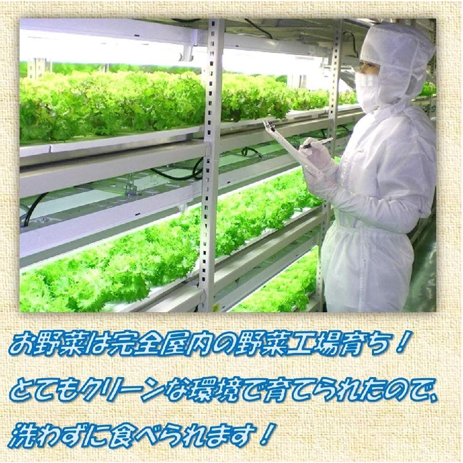 エディブルフラワーMIX 食用花 安心安全のクリーンルーム栽培 : edmix10 : クリーンリーフ信州 - 通販 - Yahoo!ショッピング