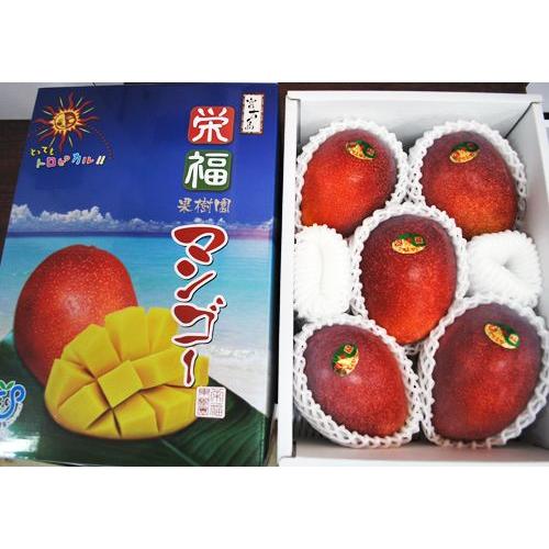宮古島産 完熟マンゴー アップルマンゴー 約2kg 完熟マンゴー （アップルマンゴー） 贈答用 約2kg （4〜6玉） 宮古島産