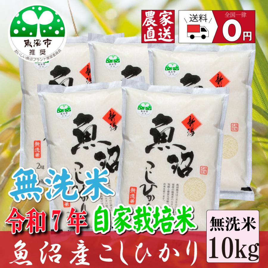 コシヒカリ 【農家直売】 無洗米10kg 無洗米 令和7年産 魚沼産