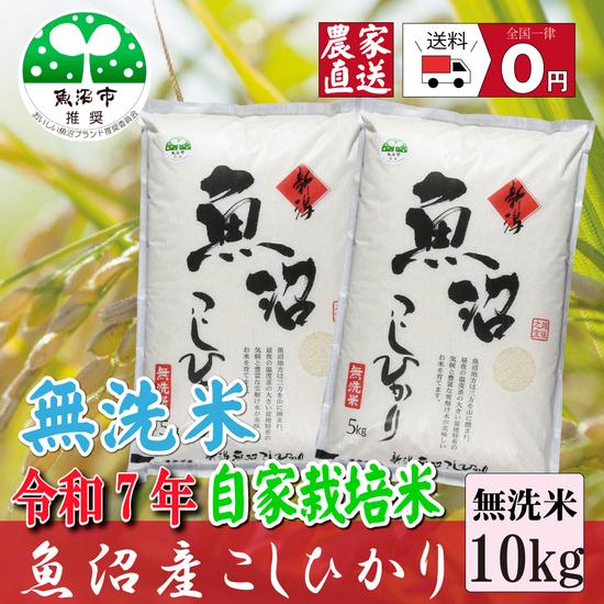 コシヒカリ 【農家直売】 無洗米5kg×2袋 令和7年産 魚沼市推奨