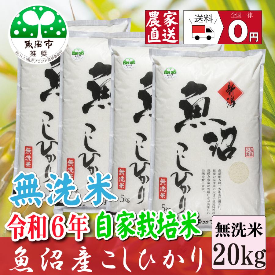 コシヒカリ 【農家直売】お米20kg 令和6年産 魚沼産 コシヒカリ 【農家直売】お米20kg 令和6年産 魚沼産