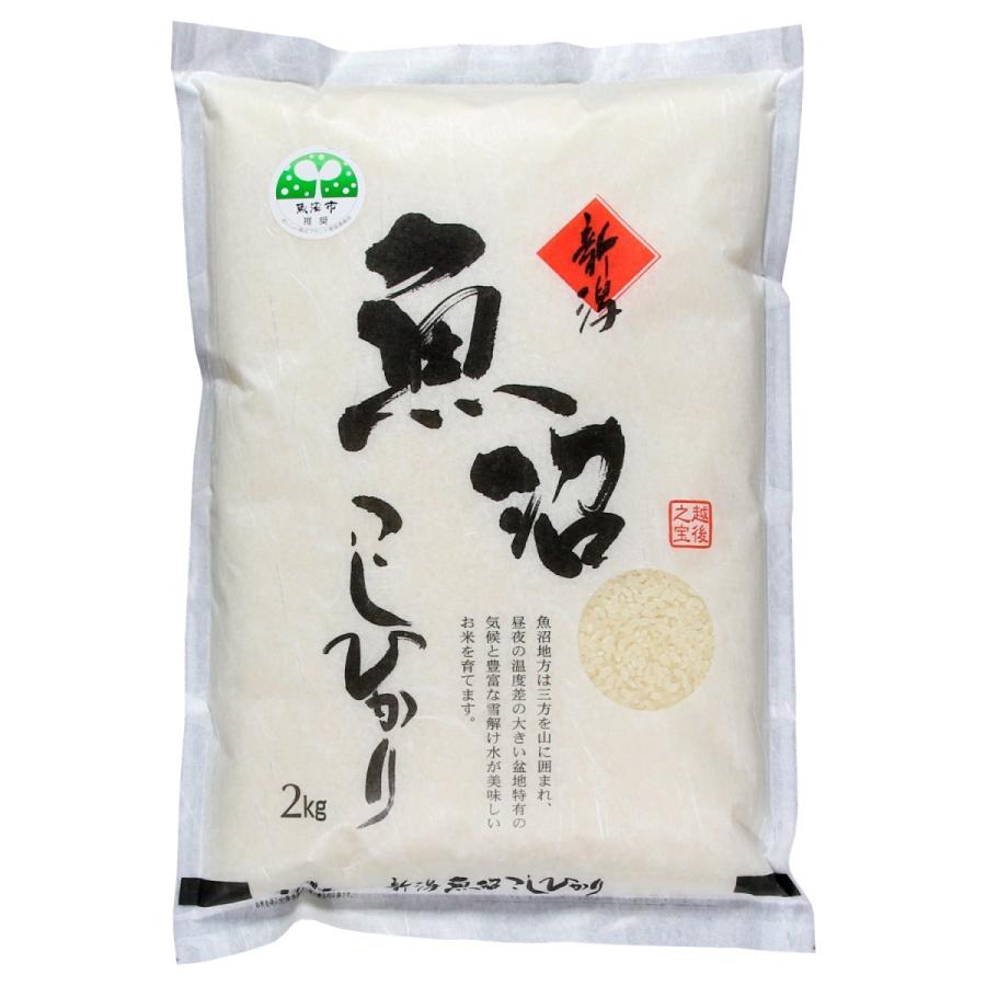 コシヒカリ 【農家直売】 お米10kg 白米 令和6年産 魚沼産 コシヒカリ 【農家直売】 お米10kg 白米 令和6年産 魚沼産