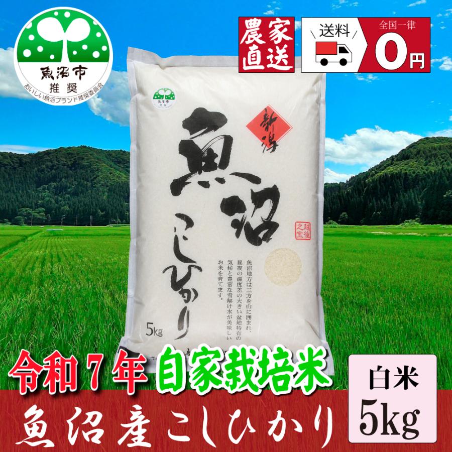 農家直売！6年産南魚沼産 コシヒカリ２０キロ 農家直売！6年産南魚沼産 コシヒカリ20キロ 新米】令和6年産 魚沼産