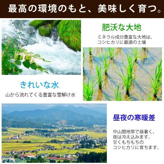 【農家直売】 お米１０ｋｇ 令和5年産 魚沼産コシヒカリ 精米 5kg×２袋  安心安全 農家直送 信頼と品質のお米 魚沼市推奨コシヒカリ 送料無料｜tokusanuonuma｜03