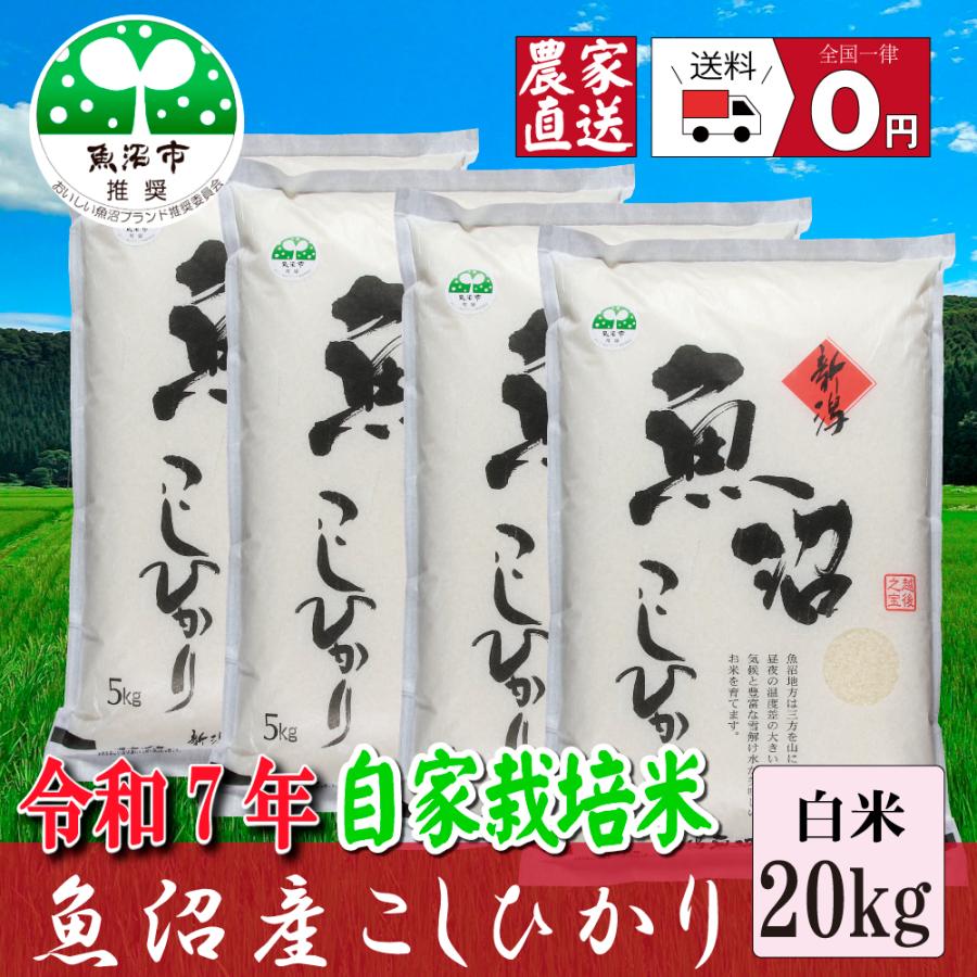 コシヒカリ 新米【農家直売】 お米20kg 魚沼産コシヒカリ