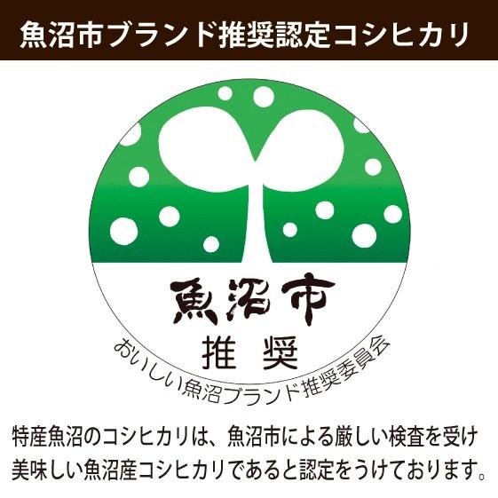 コシヒカリ 【農家直売】 お米20kg 魚沼産コシヒカリ 精米 5kg×4