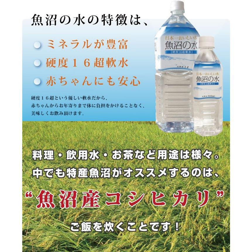 魚沼の水500ml　2ケース（48本） |  | 05
