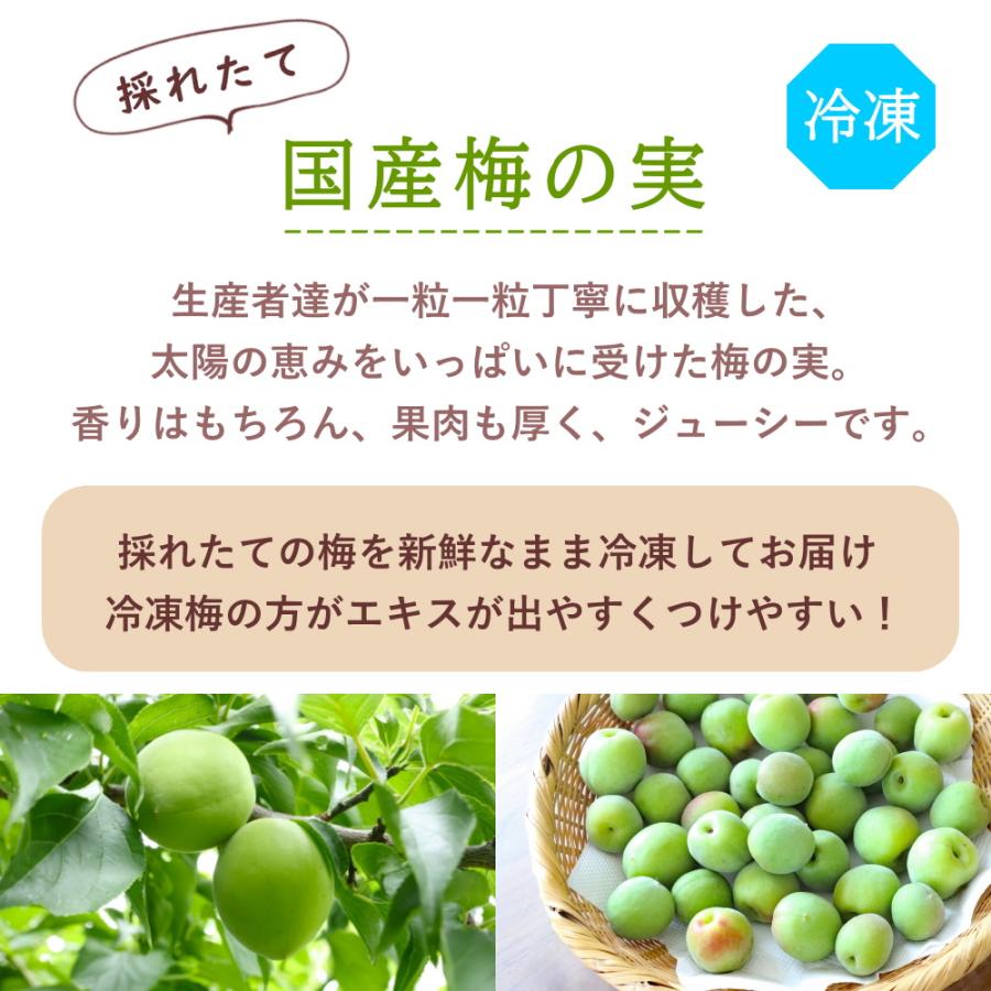 冷凍》青梅 B級品 大小混合 約1kg 梅酒作り用の梅の実 梅ジュースにも
