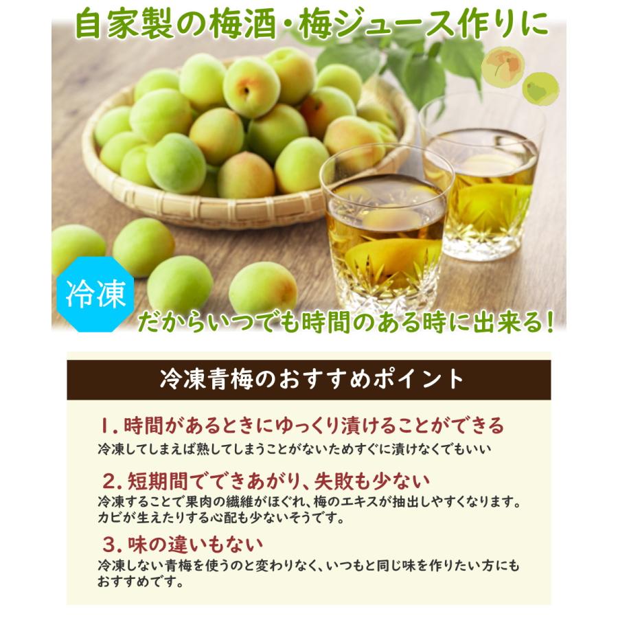 青梅　B級品　33ミリ前後　20キロ 冷凍》青梅 B級品 大小混合 約1kg 梅酒作り用の梅の実 梅ジュースにも