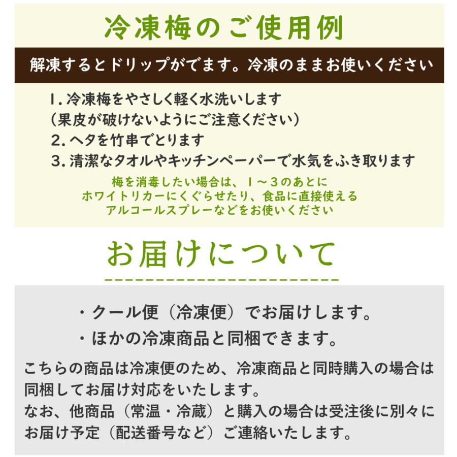 冷凍》青梅 B級品 大小混合 約1kg 梅酒作り用の梅の実 梅ジュースにも