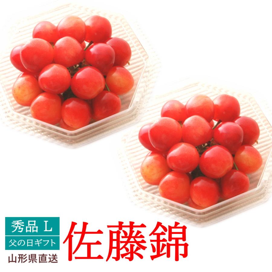 さくらんぼ 佐藤錦 ダイヤパック 100ｇ 2個 Mサイズ 父の日ギフト サクランボ 山形産 送料無料 Fs やまがた特産屋 通販 Yahoo ショッピング