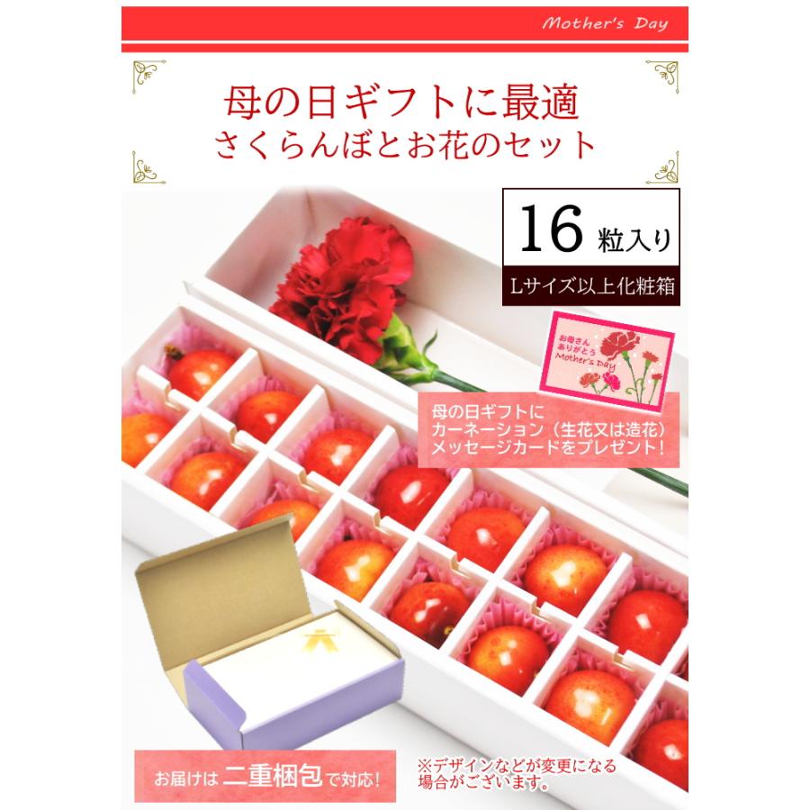 【遅れてゴメン母の日ギフト5/13より順次発送】さくらんぼ 山形県産 佐藤錦（秀品 Lサイズ以上 16粒 カーネーション付 オリジナルボックス入り) / フルーツ｜tokusanya｜06