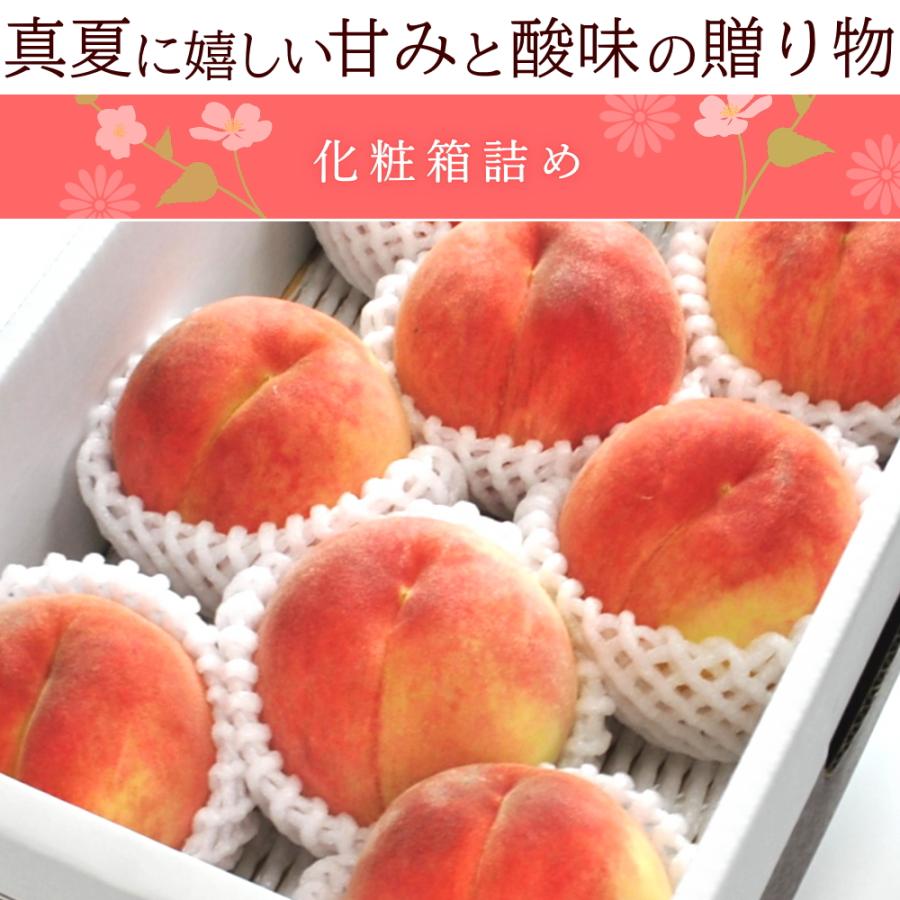 白桃 約3kg 8-12玉前後 化粧箱 もも 桃 モモ ピーチ 山形産 お中元 