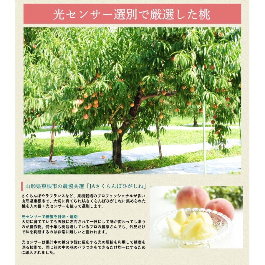 白桃 約5kg箱 13-20玉前後 化粧箱 もも 桃 モモ サイズ＆玉数おまかせ