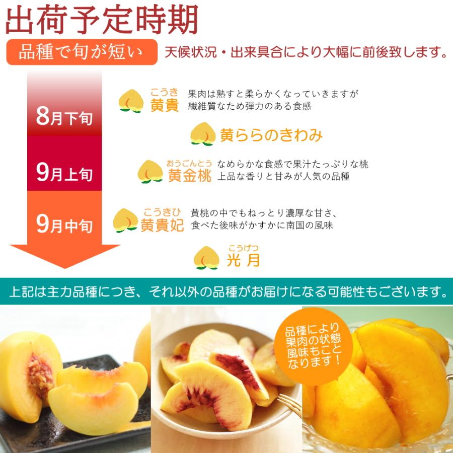 山梨県産 黄金桃 2kg（7玉前後） ふるさと納税】2026年先行予約