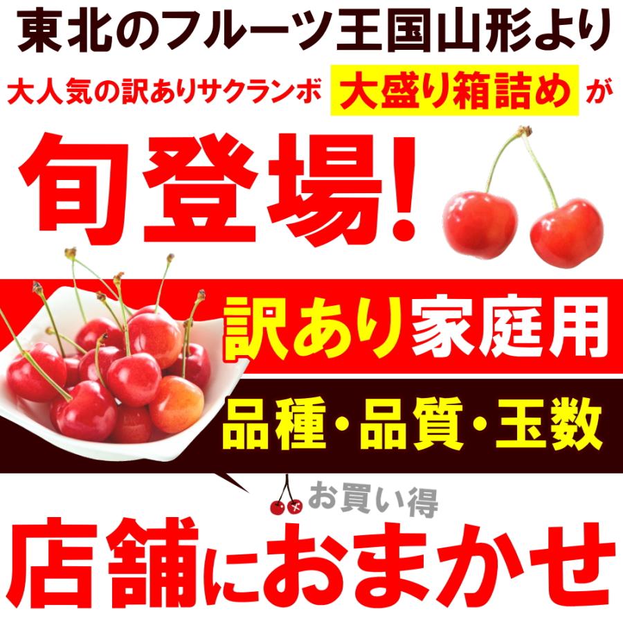 さくらんぼ 佐藤錦 紅秀峰 など 品種おまかせ  山形県産 訳あり 約1kg バラ直詰め 2Lサイズ 家庭用 お試し用【6月中旬頃から出荷開始】｜tokusanya｜03