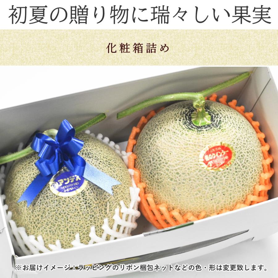 メロン 秀品 青肉メロン & 赤肉メロン 各1玉づつ セット 約3kg メロン 秀品 青肉メロン & 赤肉メロン 各1玉づつ セット 約3kg