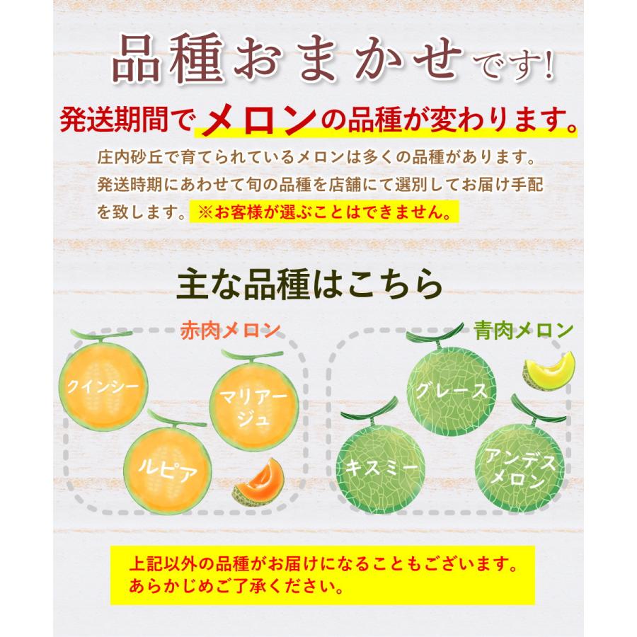 メロン 秀品 青肉メロン ＆ 赤肉メロン 各1玉づつ セット 約3kg前後 2