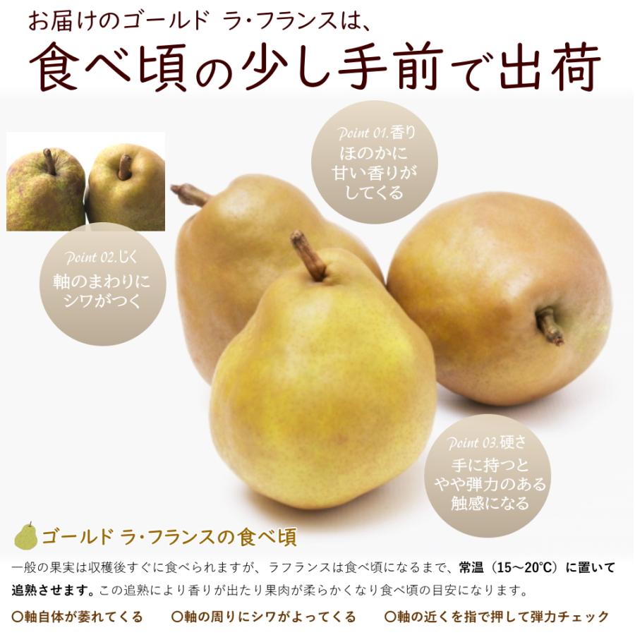 洋梨 ゴールド ラフランス 約3kg（7-12玉前後）産地箱詰め 山形県産