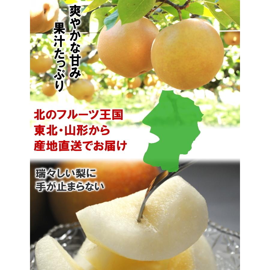 梨 和梨 なし ナシ 訳あり 約5kg前後 10-24玉前後 数量限定、送料無料、ご家庭用、品種おまかせ、サイズおまかせ、自宅用、家庭用 爆買 ...