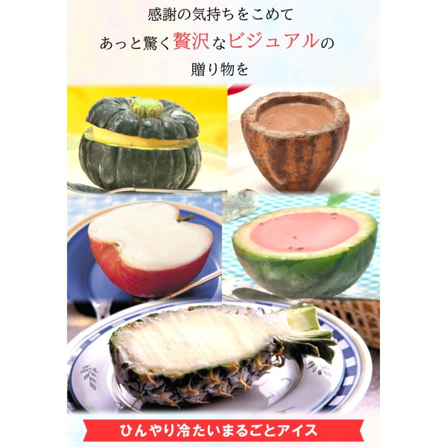 まるごと フルーツ アイス 5個 セット かぼちゃ スイカ りんご
