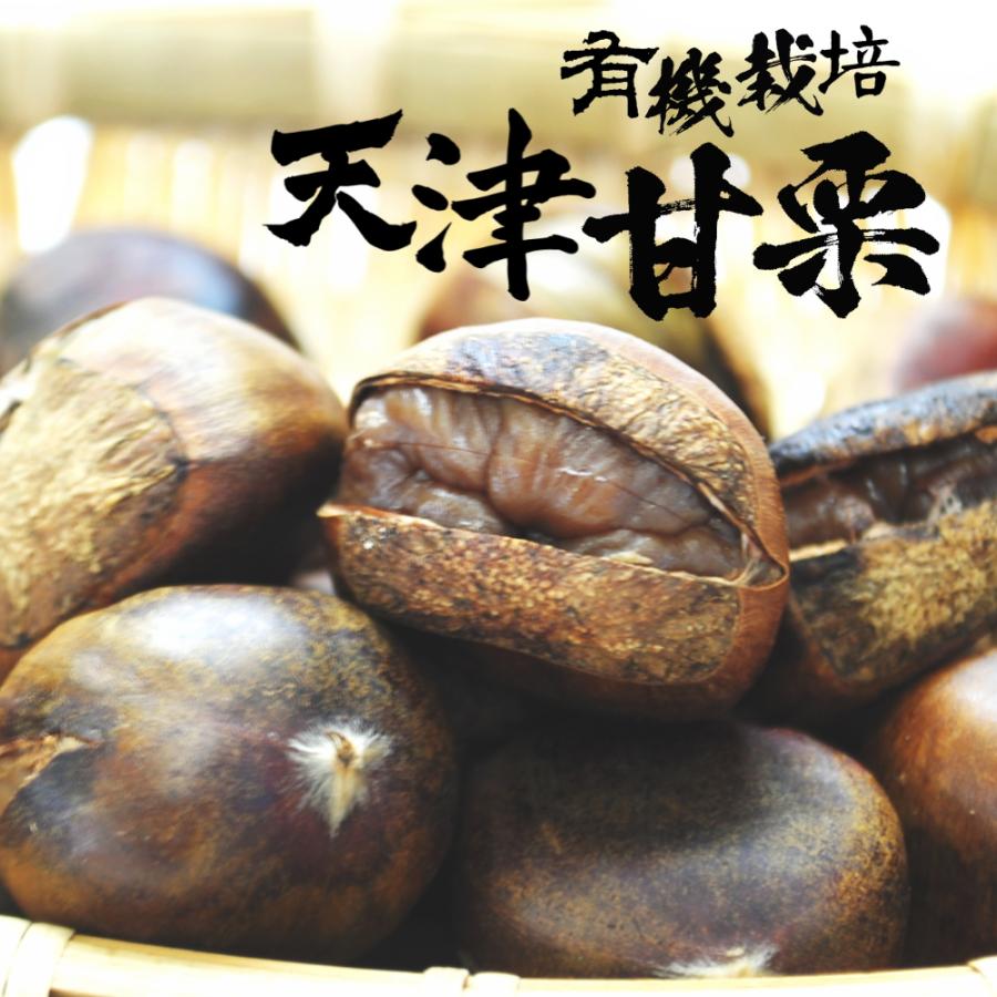 天津甘栗 260g 1袋 有機栽培 メール便で送料無料 殻付き 割れ目あり