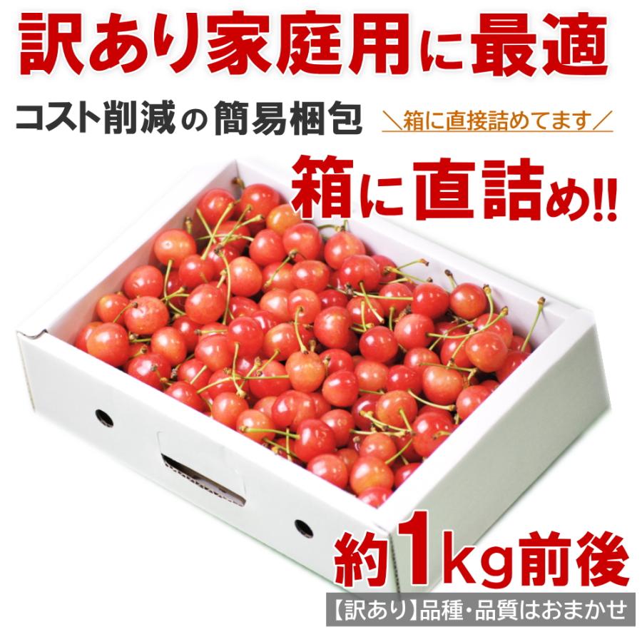 さくらんぼ 佐藤錦 紅秀峰 など 品種おまかせ 山形県産 訳あり さくらんぼ 佐藤錦 紅秀峰 など 品種おまかせ 山形県産 訳あり