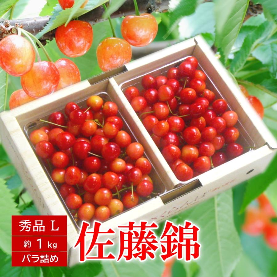 6月中旬頃から発送開始 さくらんぼ 佐藤錦 バラ詰め Lサイズ 約1kg