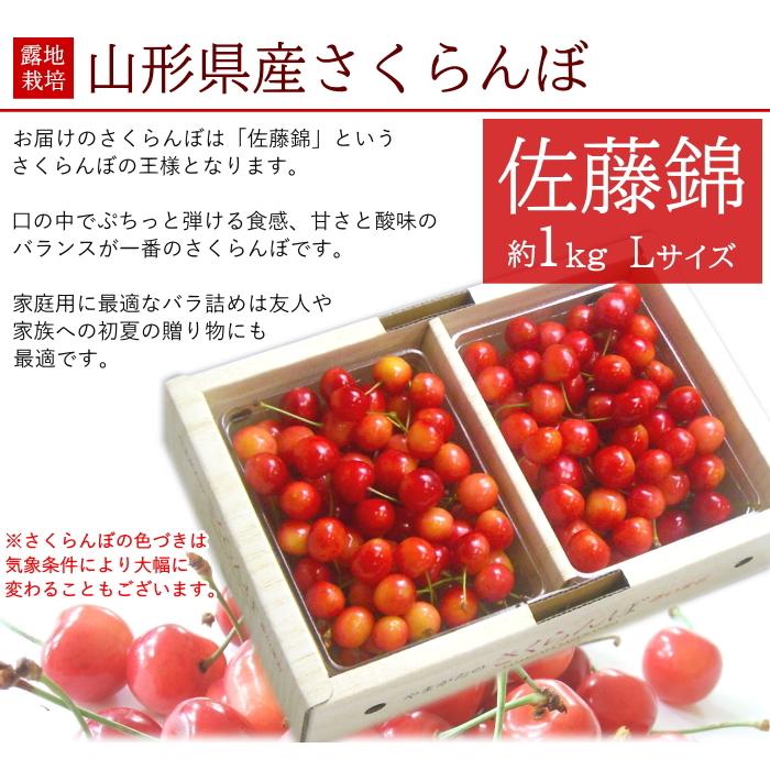 6月中旬頃から発送開始 さくらんぼ 佐藤錦 バラ詰め Lサイズ 約1kg