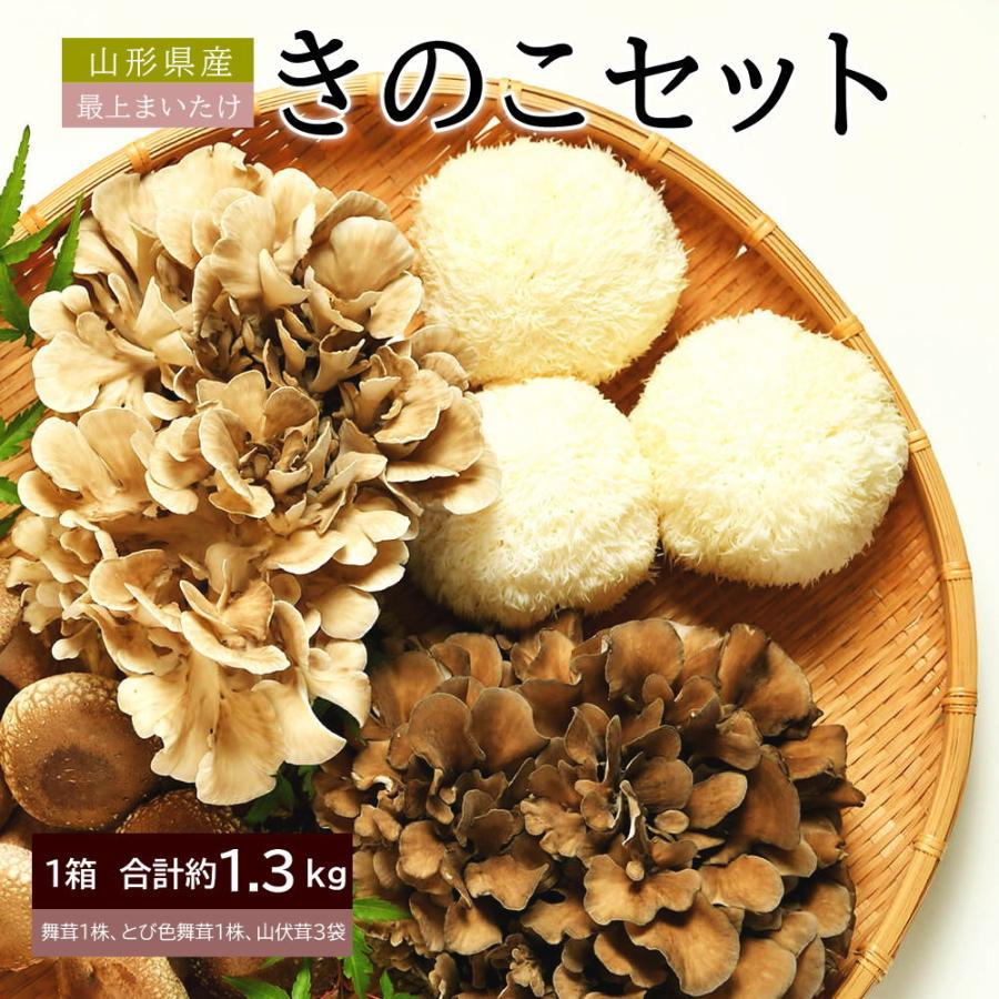 きのこ3種類セット 舞茸 黒 とび色舞茸 山伏茸 とびいろ まいたけ やまぶしいたけ 合計約1 3g マイタケ 山形県産 最上まいたけ Kinoco P10 やまがた特産屋 通販 Yahoo ショッピング