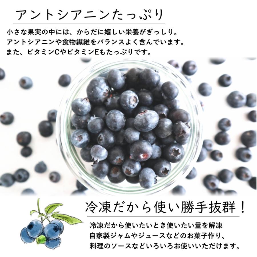 冷凍 ブルーベリー 約600g (100g×6個) フルーツ 果物 指定日対応 送料