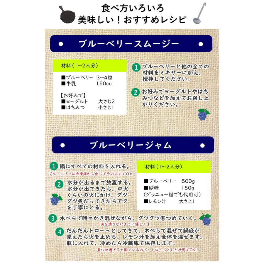 冷凍 ブルーベリー 約600g (100g×6個) フルーツ 果物 指定日対応 送料
